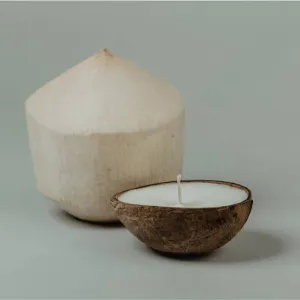 Coconut Shell Candle - Coconut Oasis