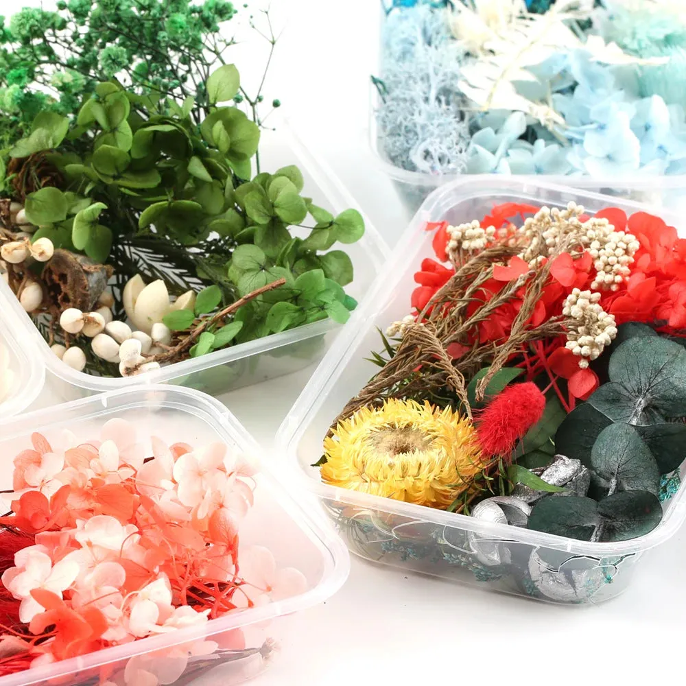 ELMAS Dried Flower Craft Kit for Candle & Epoxy Resin Decor