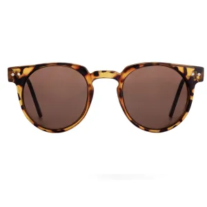 Teddy Boy (Tortoise Shell   Brown)
