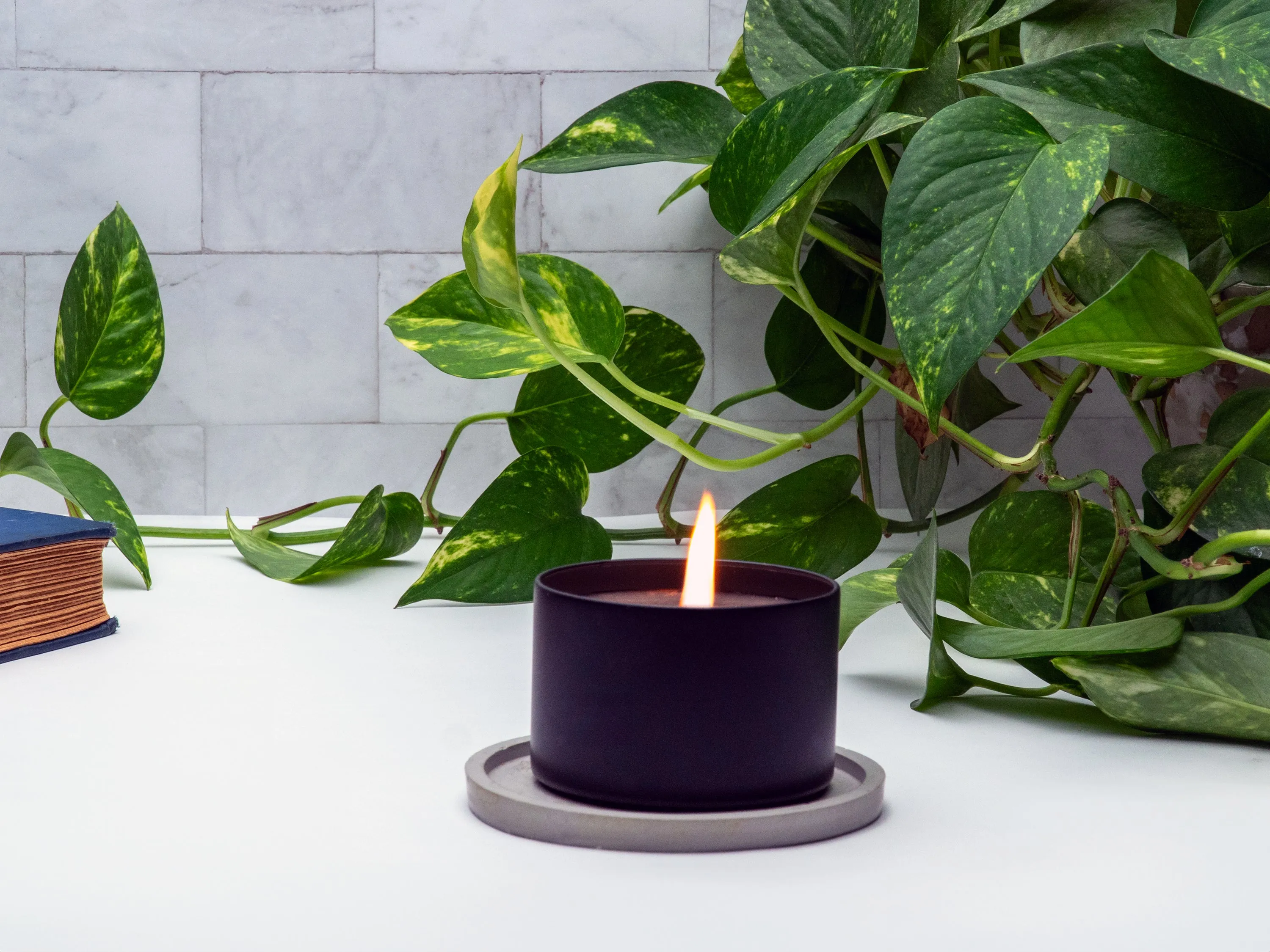 Wildwood Sage Soy Wax Candle